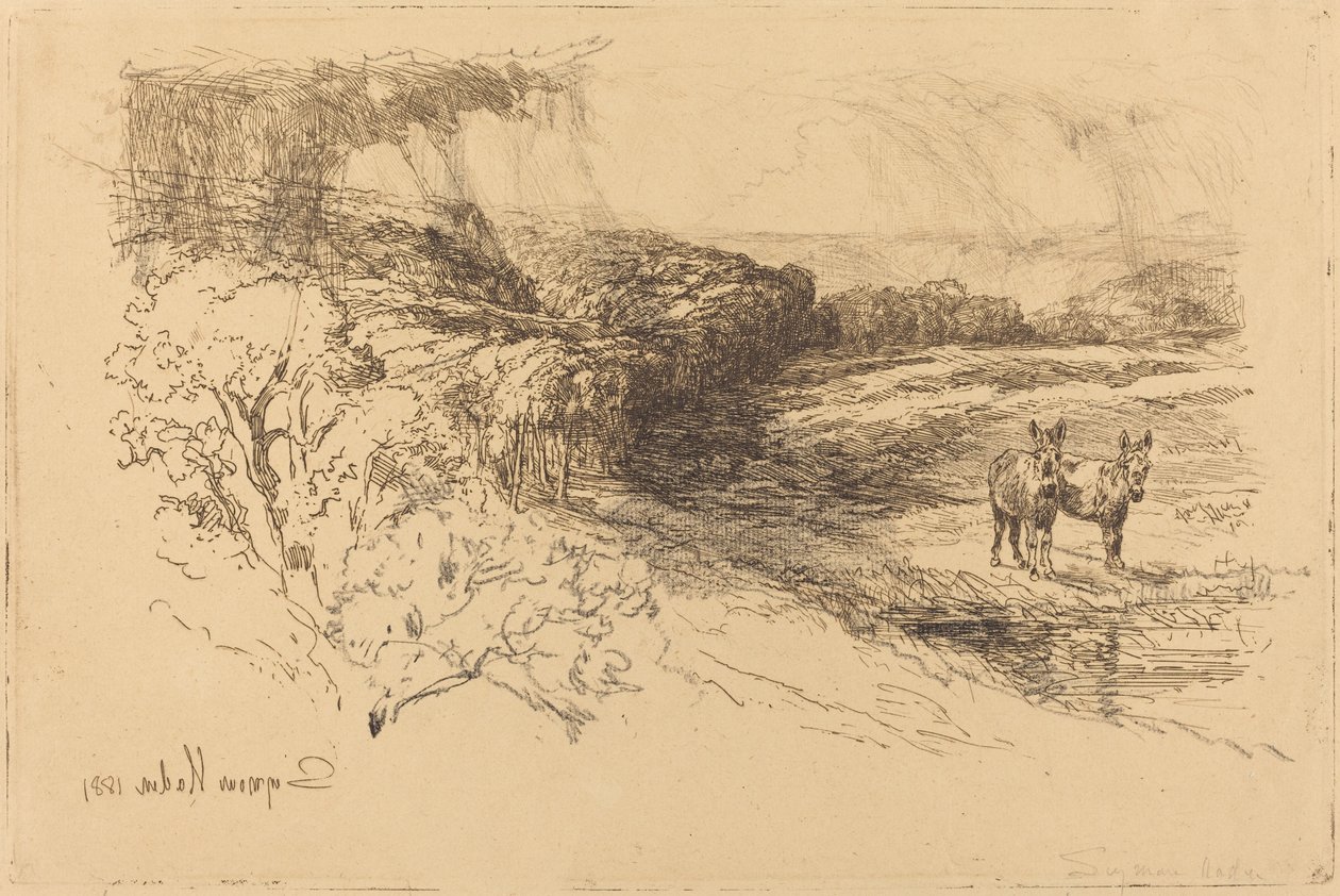 Encombe Woods (1.) alkotó: Francis Seymour Haden