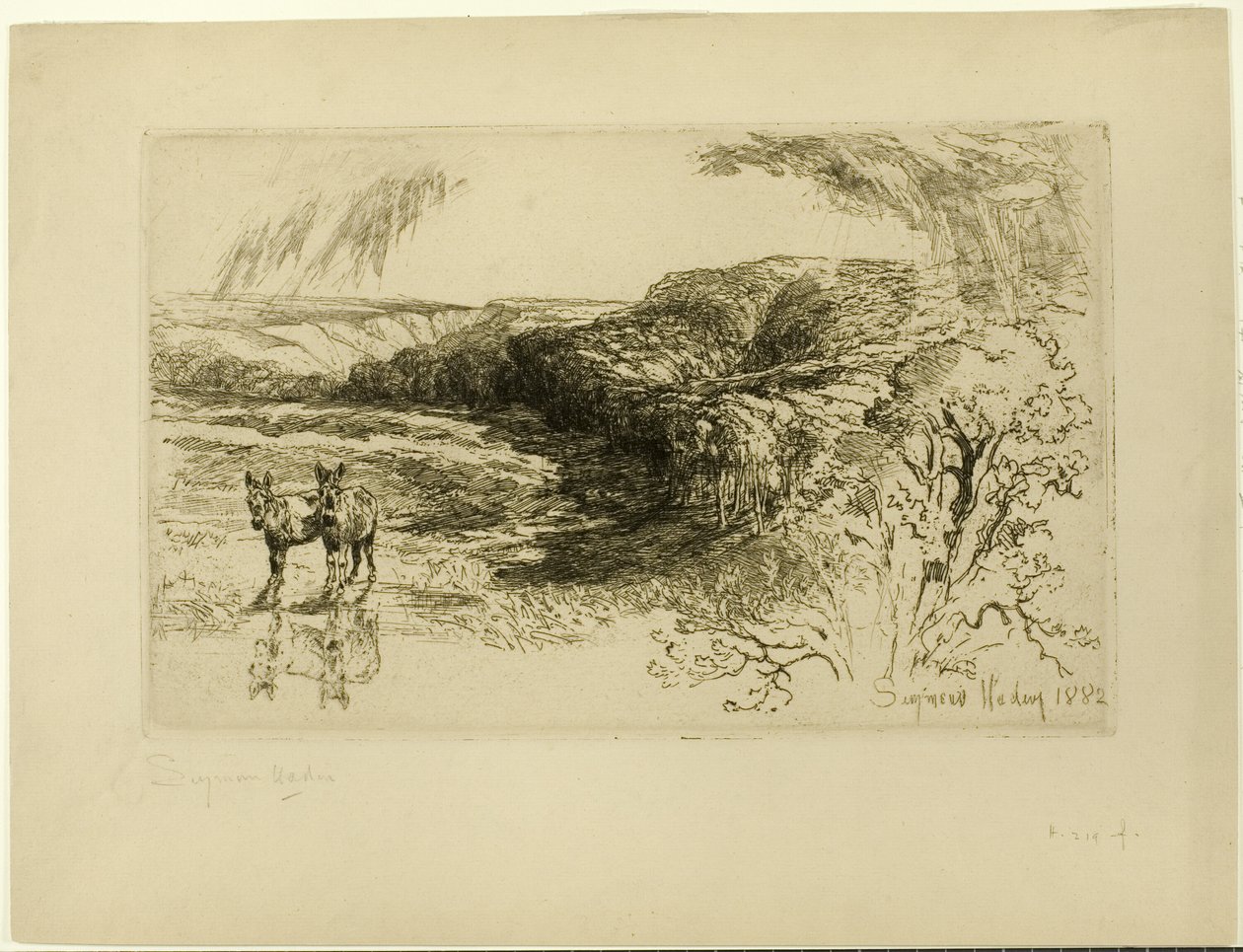 Encombe Woods, No. II alkotó: Francis Seymour Haden