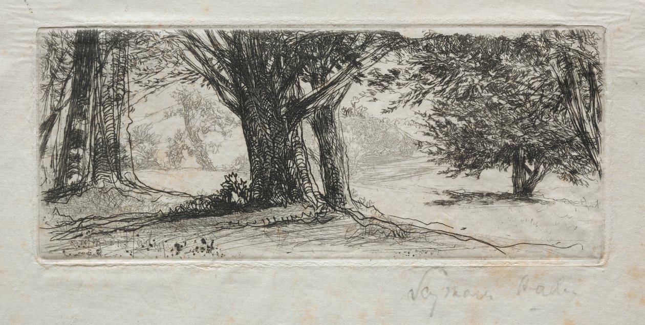 Holly Field alkotó: Francis Seymour Haden