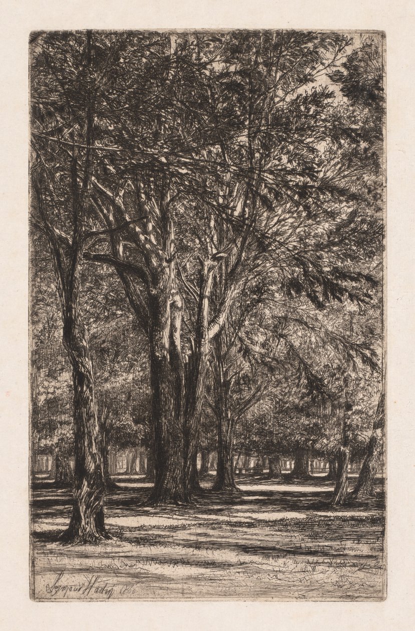 Kensington Gardens, No. 2 The Larger Plate, 1860. alkotó: Francis Seymour Haden