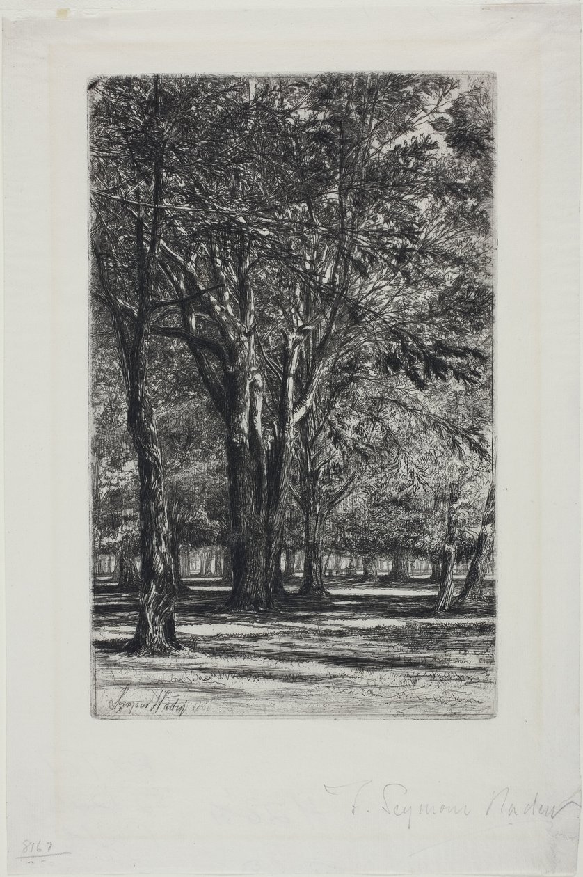 Kensington Gardens, No. II (nagy lemez) alkotó: Francis Seymour Haden