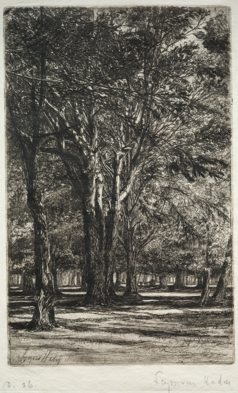 Kensington Gardens The Larger Plate, 1860. alkotó: Francis Seymour Haden