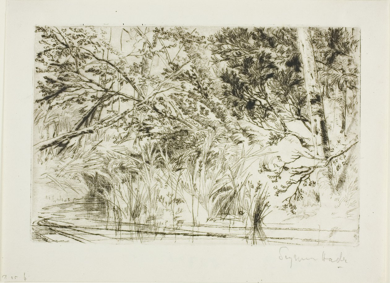 Patak szája, II alkotó: Francis Seymour Haden