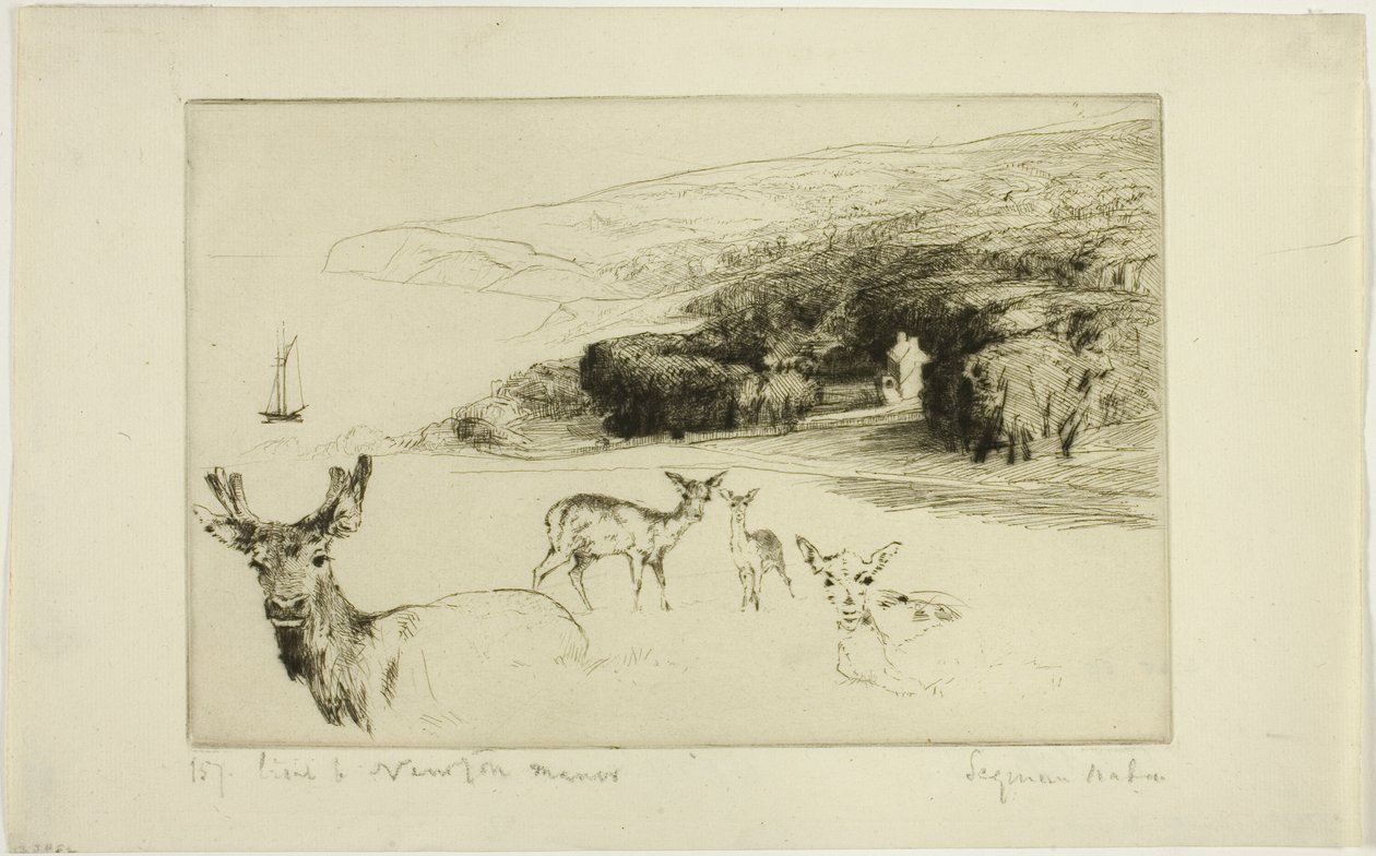Newton Manor alkotó: Francis Seymour Haden