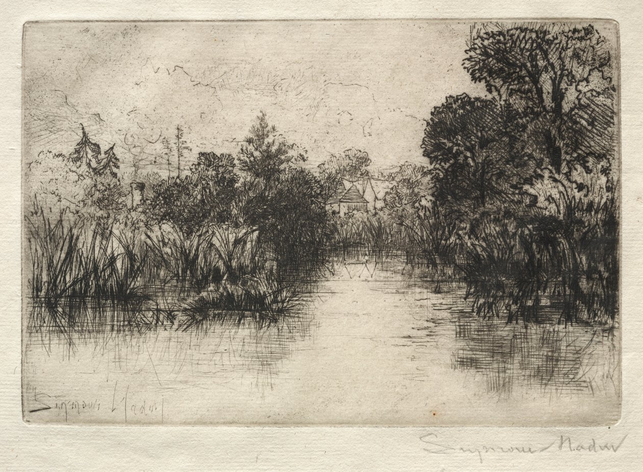 Shere Mill Pond (Egy kis tanulmány) alkotó: Francis Seymour Haden