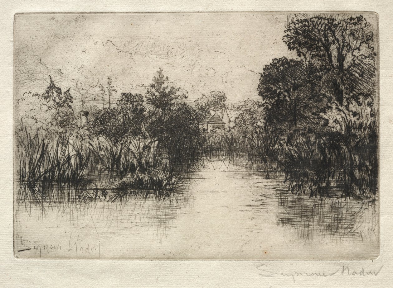 Shere Mill Pond Egy kis tanulmány. alkotó: Francis Seymour Haden
