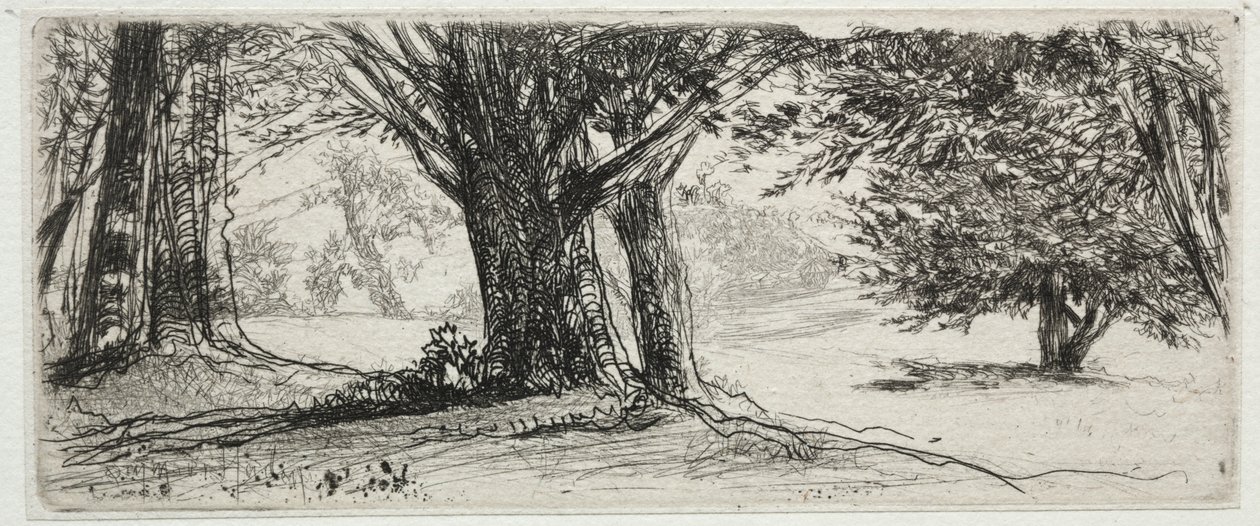 A Holly Field alkotó: Francis Seymour Haden