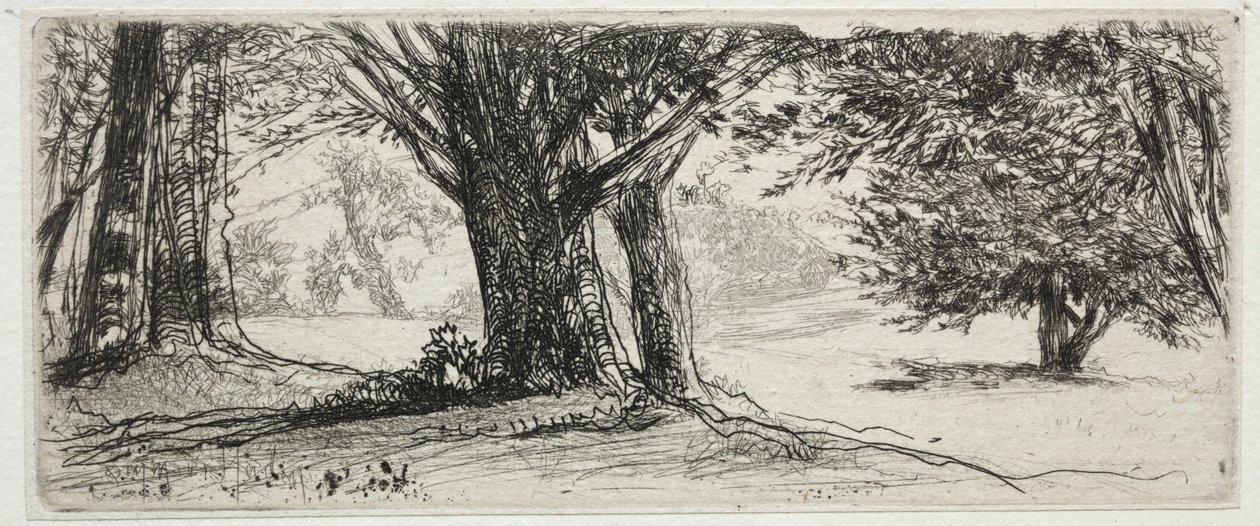 A Holly Field. alkotó: Francis Seymour Haden