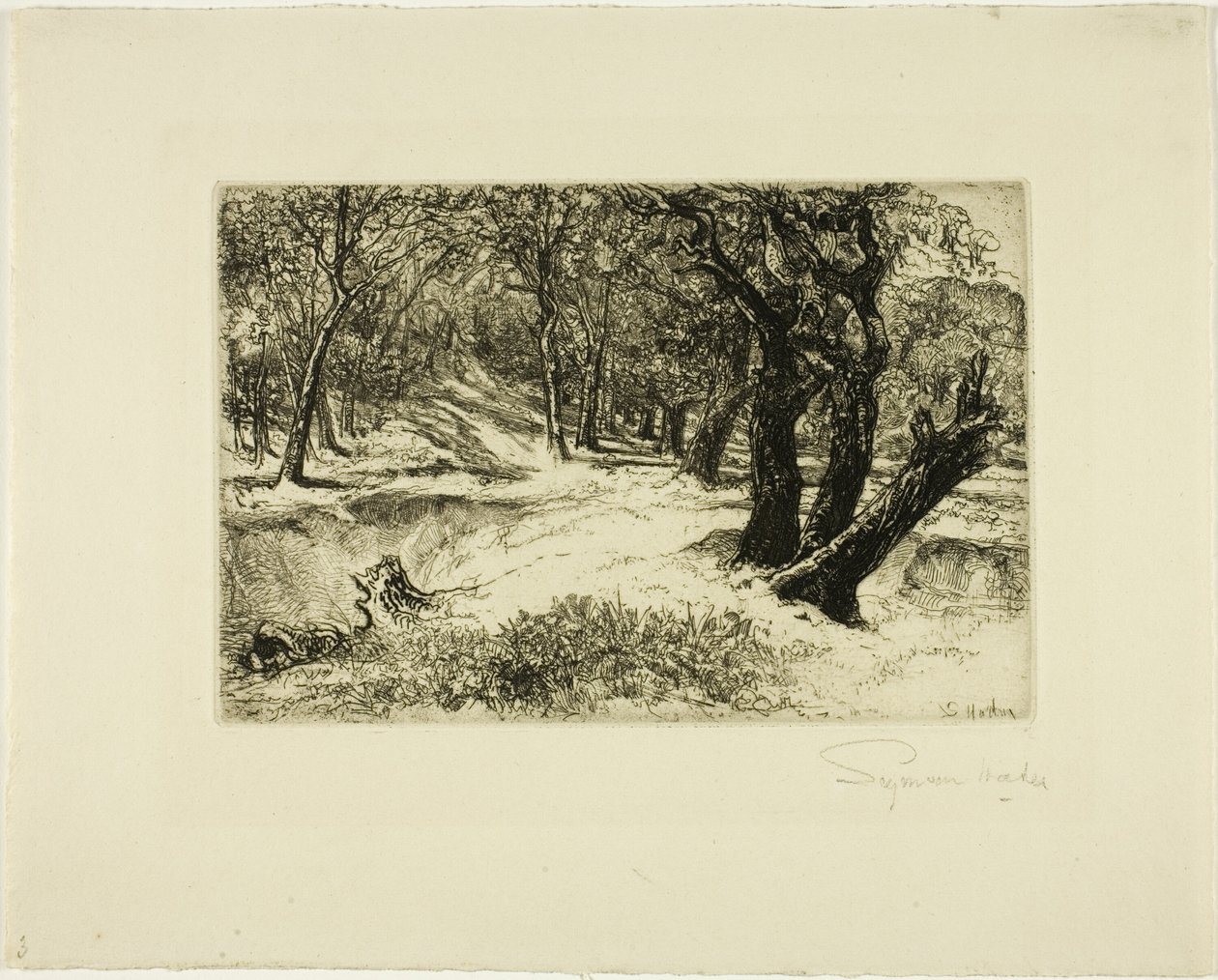 A három nővér alkotó: Francis Seymour Haden