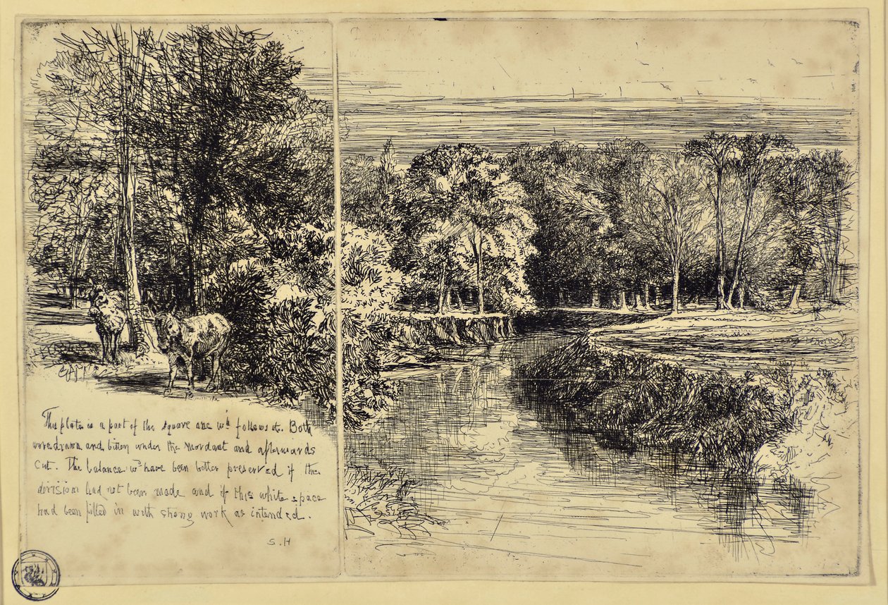 A két szamár és a Dundrum folyó alkotó: Francis Seymour Haden