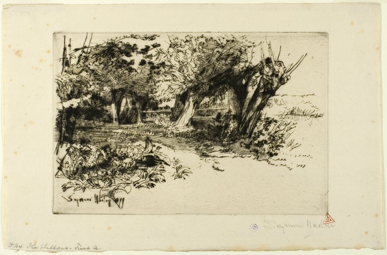 A Willows alkotó: Francis Seymour Haden