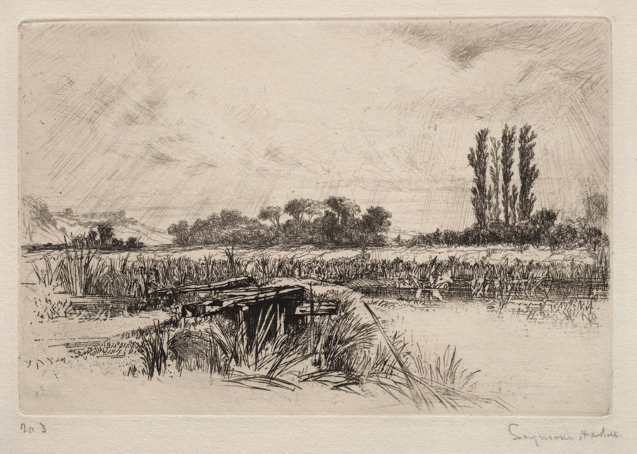 Nedves rét alkotó: Francis Seymour Haden