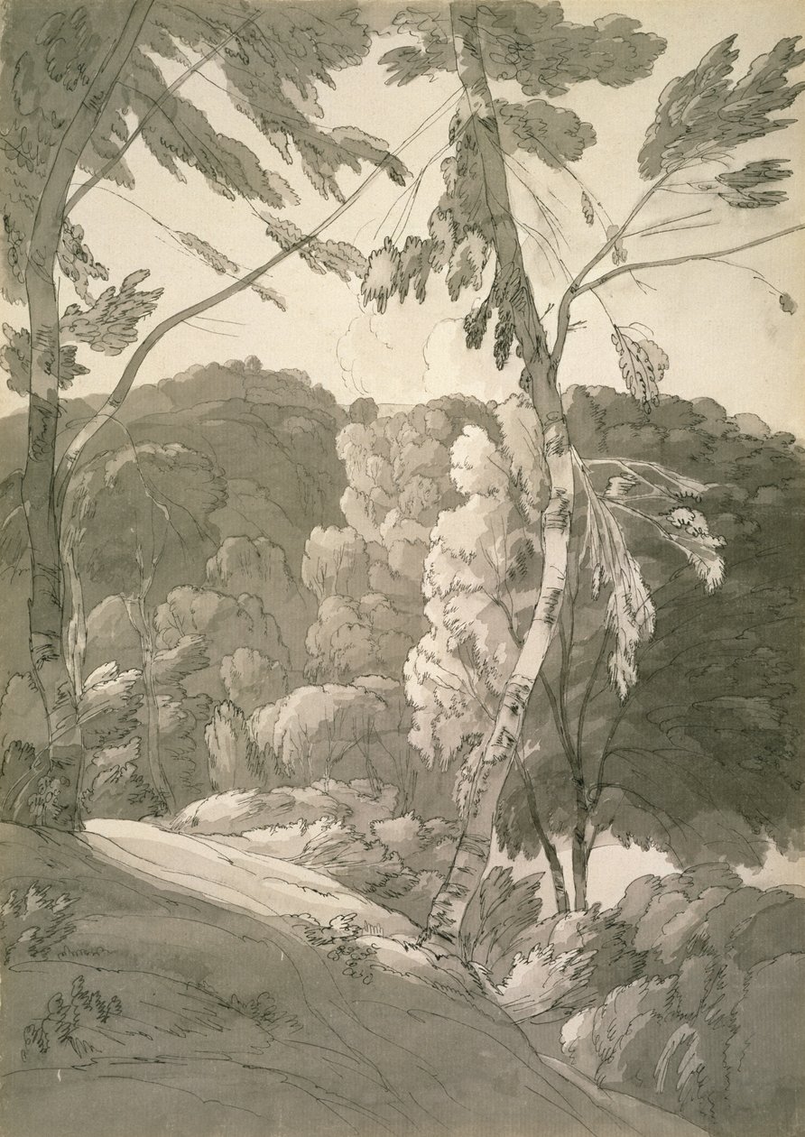 No.1091 Erdős táj (Egy jelenet Indinowle-ban) 1783 (ceruza, toll és tinta mosással, papíron) alkotó: Francis Towne