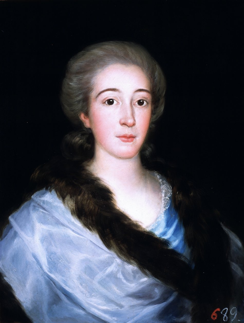 Doña María Teresa de Vallabriga y Rozas portréja alkotó: Francisco de Goya