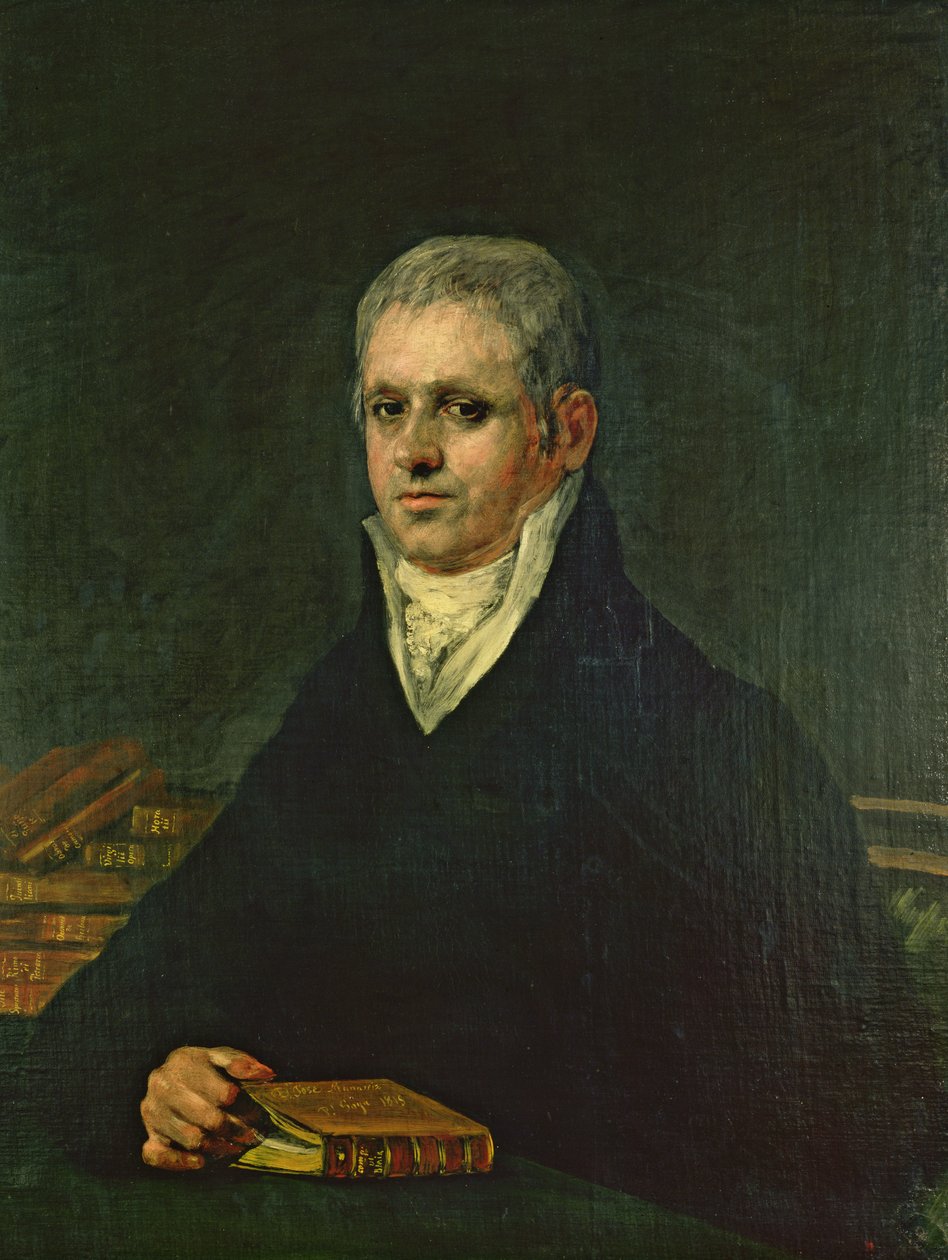 Don Jose Munarriz portréja, 1815 alkotó: Francisco de Goya