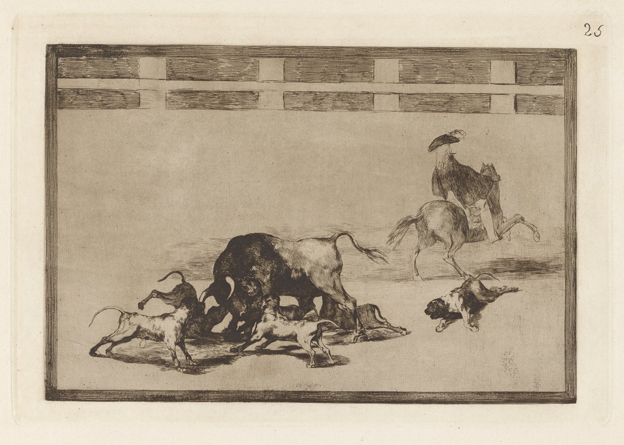 Echan perros al toro (Ellazultak a kutyák a bikán), 25. tábla a La tauromaquiától alkotó: Francisco de Goya