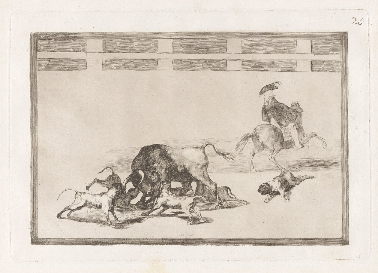 Echan perros al toro (Ellazultak a kutyák a bikán), 25. tábla a La tauromaquiától alkotó: Francisco de Goya