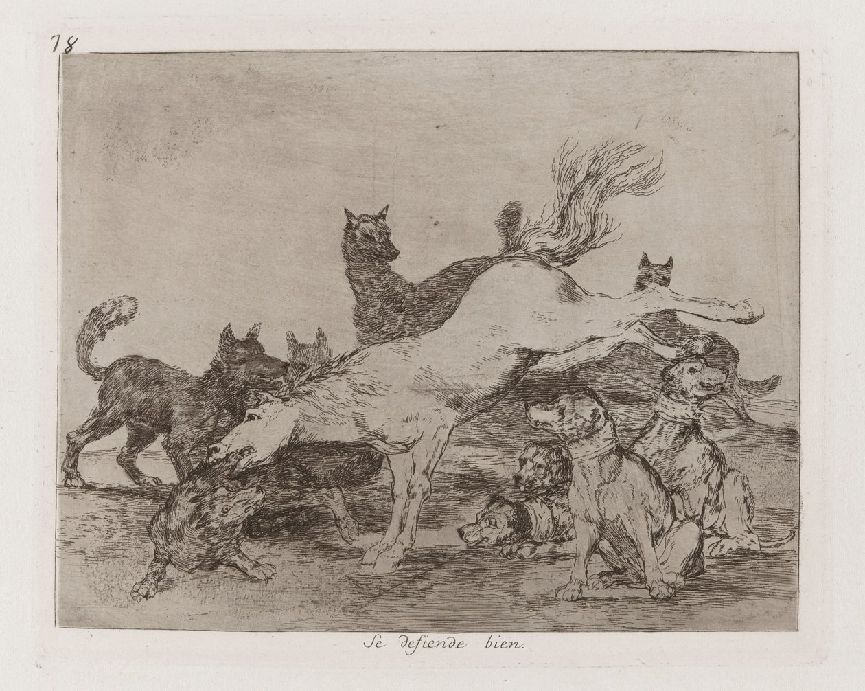 Jól védi magát, 78. tábla A háború katasztrófáiból alkotó: Francisco de Goya