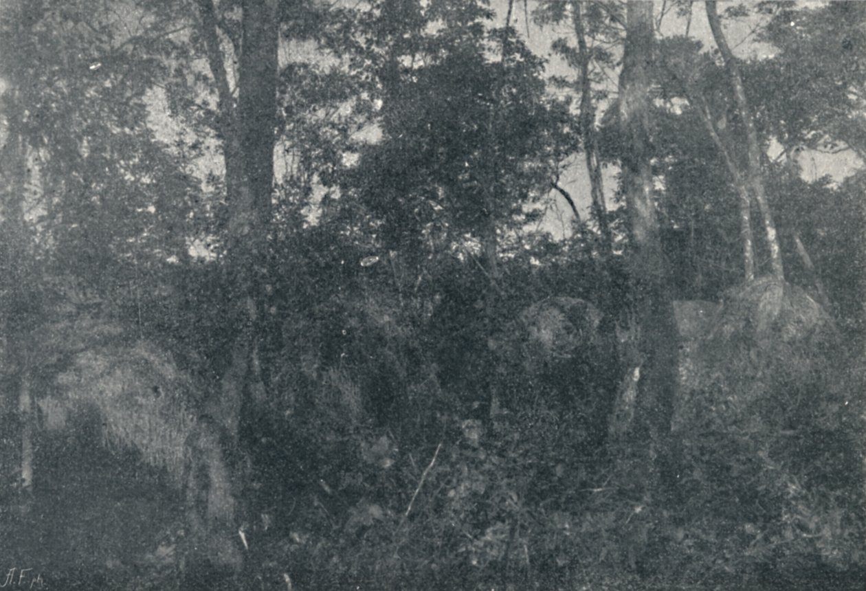 Indiai kabinok, 1895 alkotó: Francisco Henszler