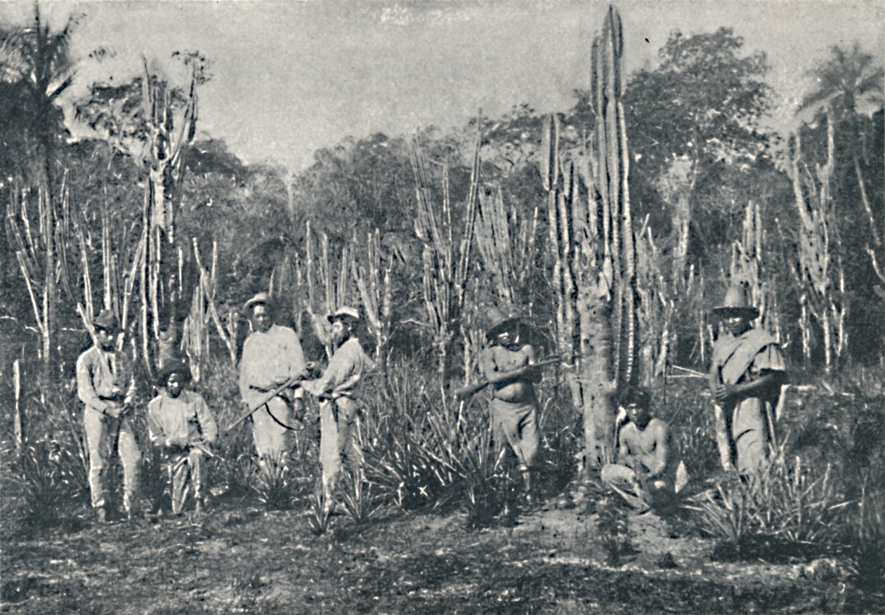 Fields, 1895 alkotó: Francisco Henszler