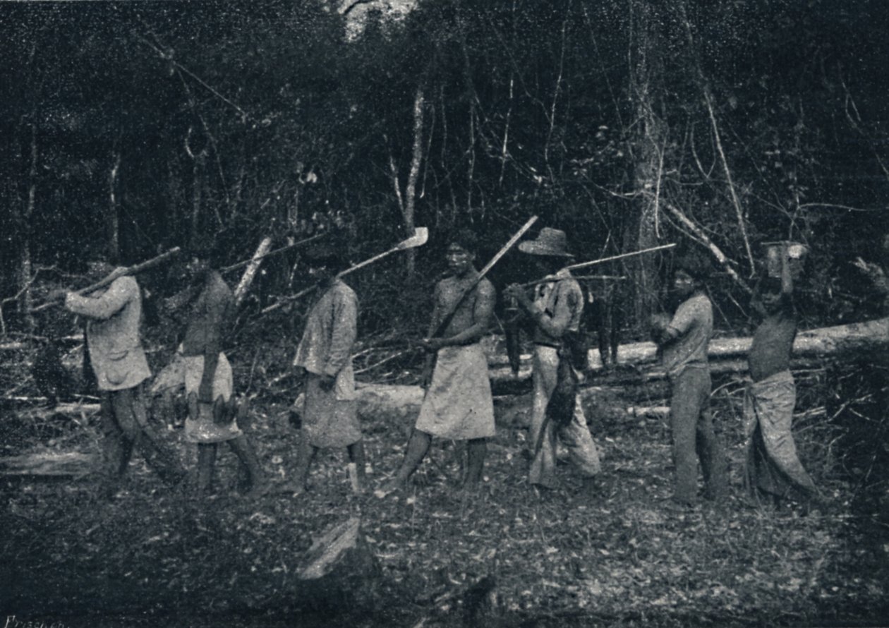 Guarany indiánok, visszatérve egy Caþadából, 1895 alkotó: Francisco Henszler