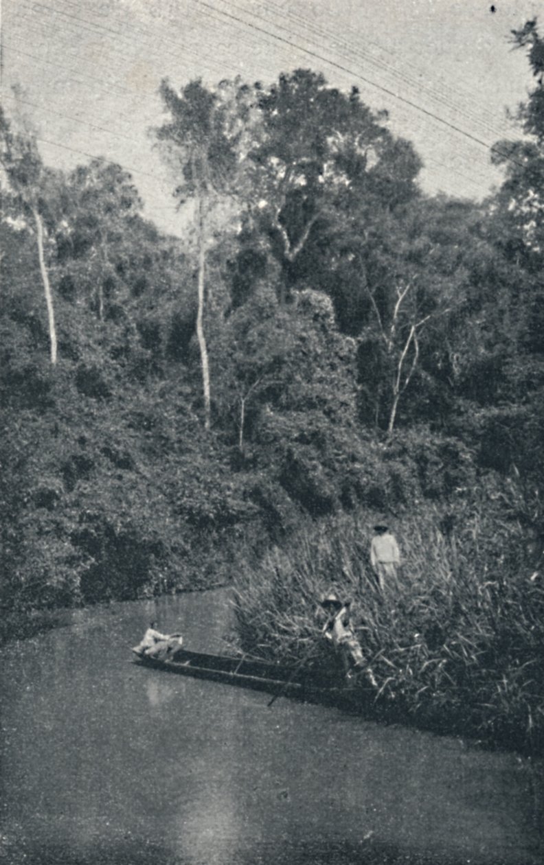 S. Anastacio folyó, 1895 alkotó: Francisco Henszler