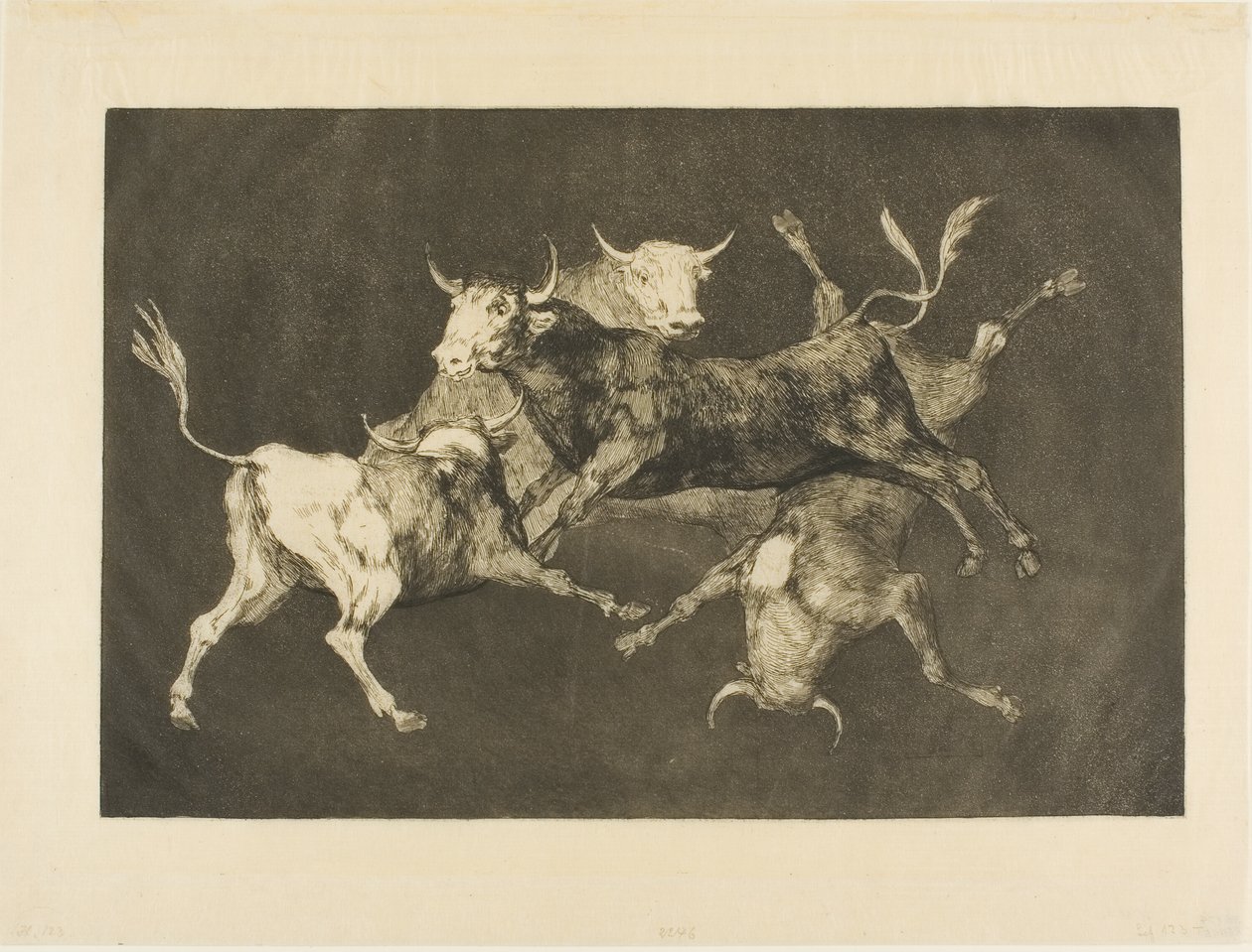 Bolondok bolondsága, a Disparatestől alkotó: Francisco Jose de Goya y Lucientes