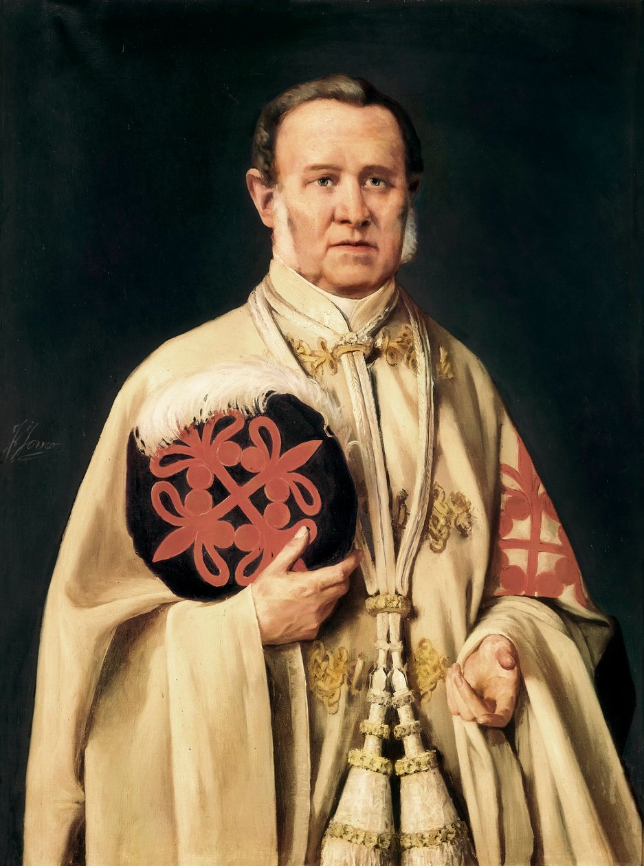 "Viluma márki, spanyol katonai és politikai nemes portréja" 1850 körül (olaj, vászon) alkotó: Francisco Jover y Casanova