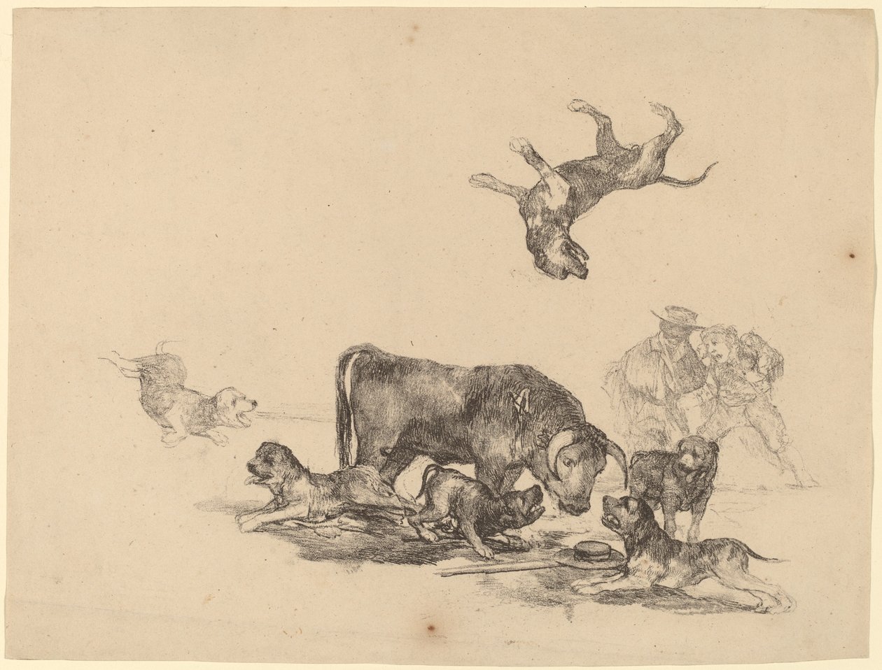 Kutyák által megtámadt bika alkotó: Francisco de Goya