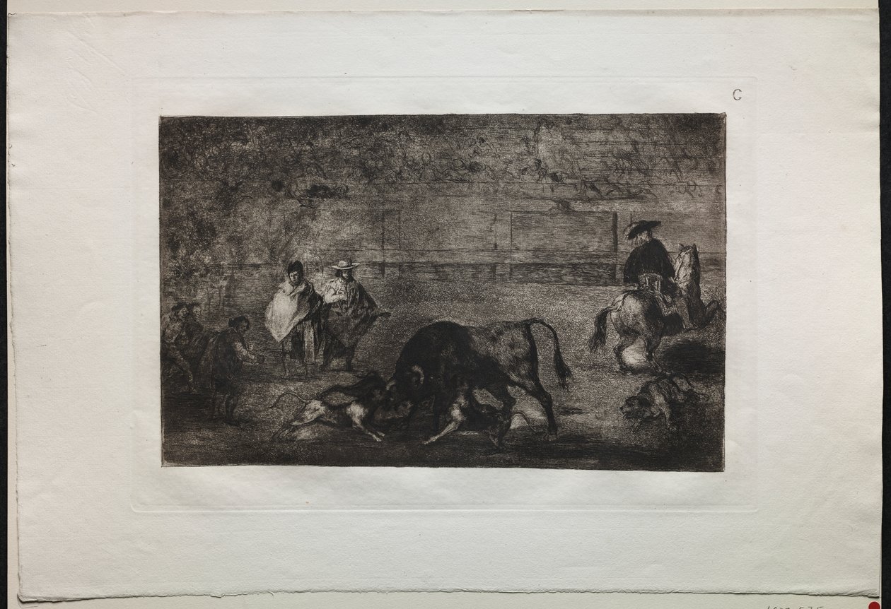 Bikaviadalok: A kutya elengedett a bikán alkotó: Francisco de Goya