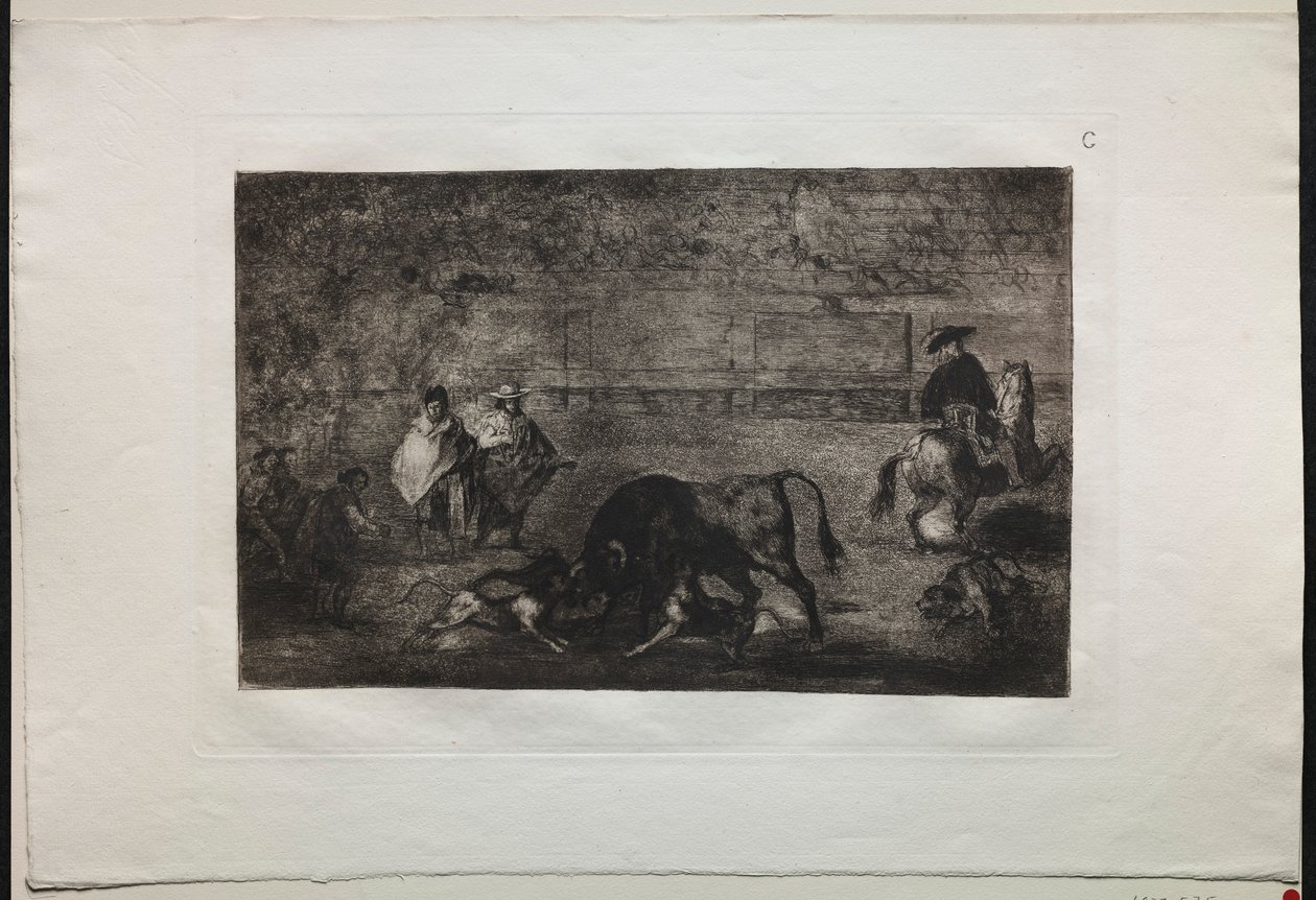 Bikaviadalok: A bikán elengedett kutya, 1876. alkotó: Francisco de Goya