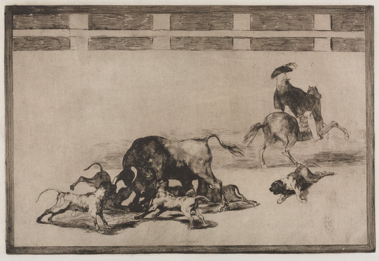 Bikaviadalok: Elengedik a kutyákat a bikán, 1876. alkotó: Francisco de Goya