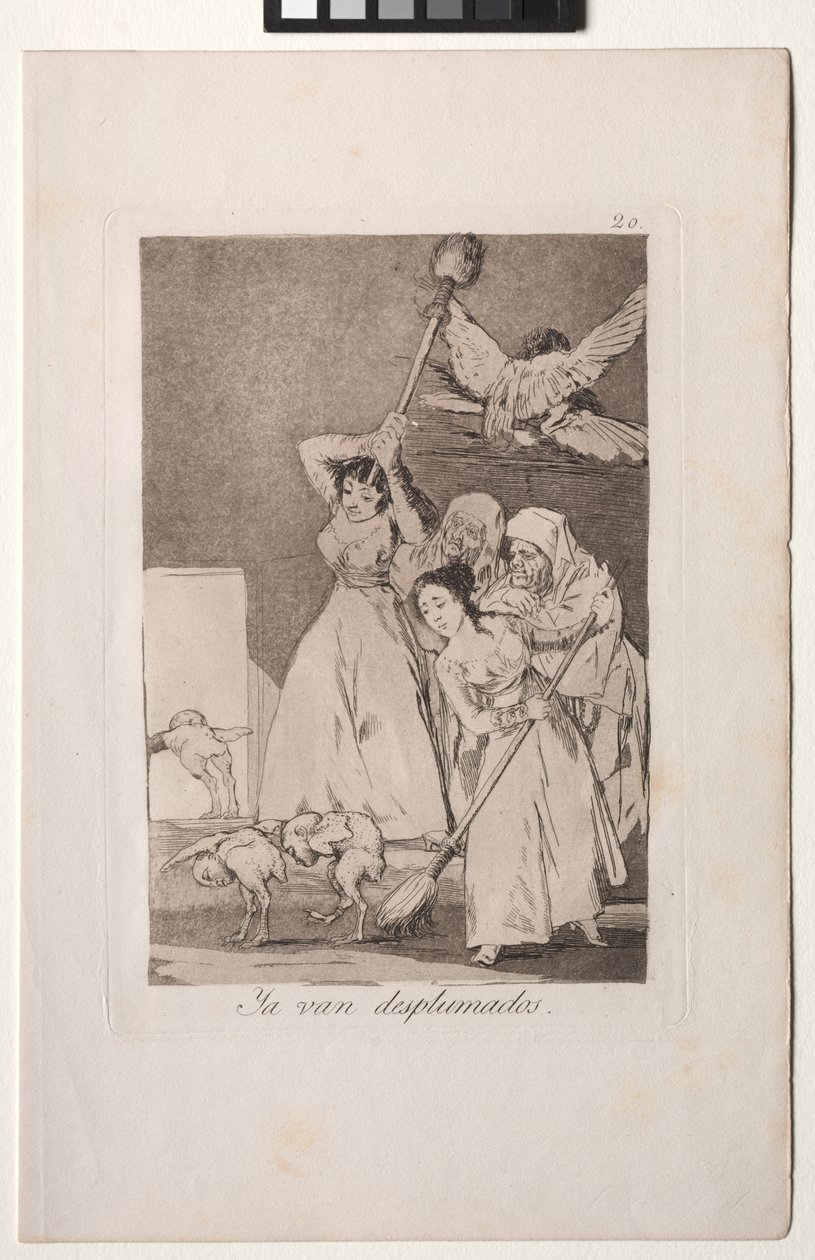 Caprichos: There They Go Plucked (azaz gyapjú) alkotó: Francisco de Goya