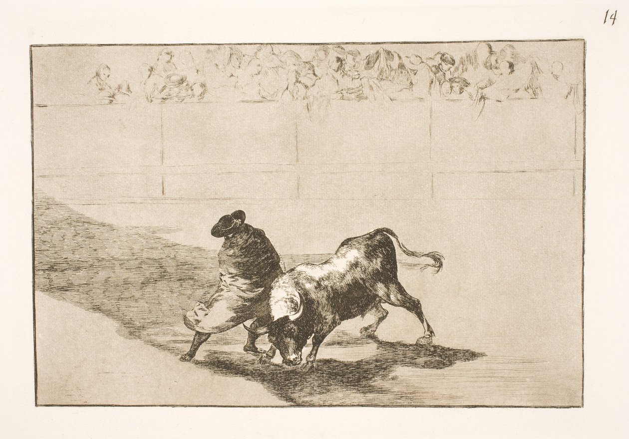 A nagyon tehetséges Falces diák köpenyébe burkolva teste mozdulataival csalja meg a bikát alkotó: Francisco de Goya