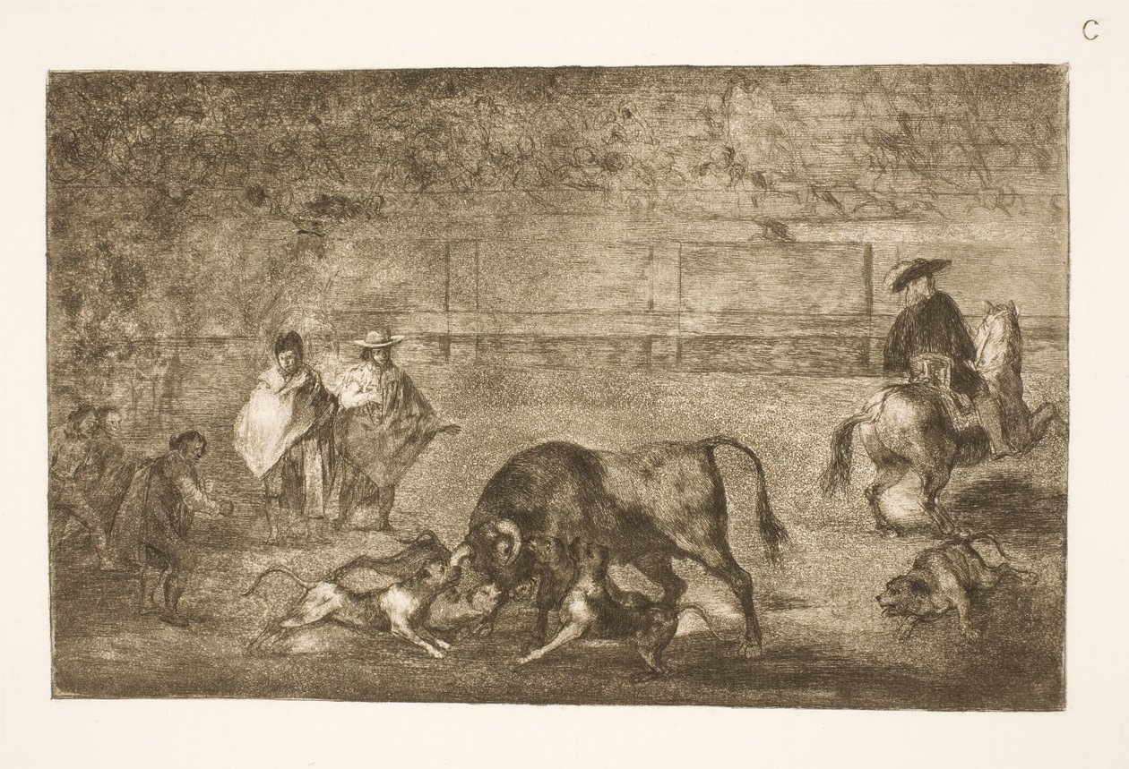 A kutyák rá vannak csiszolva a bikára alkotó: Francisco de Goya
