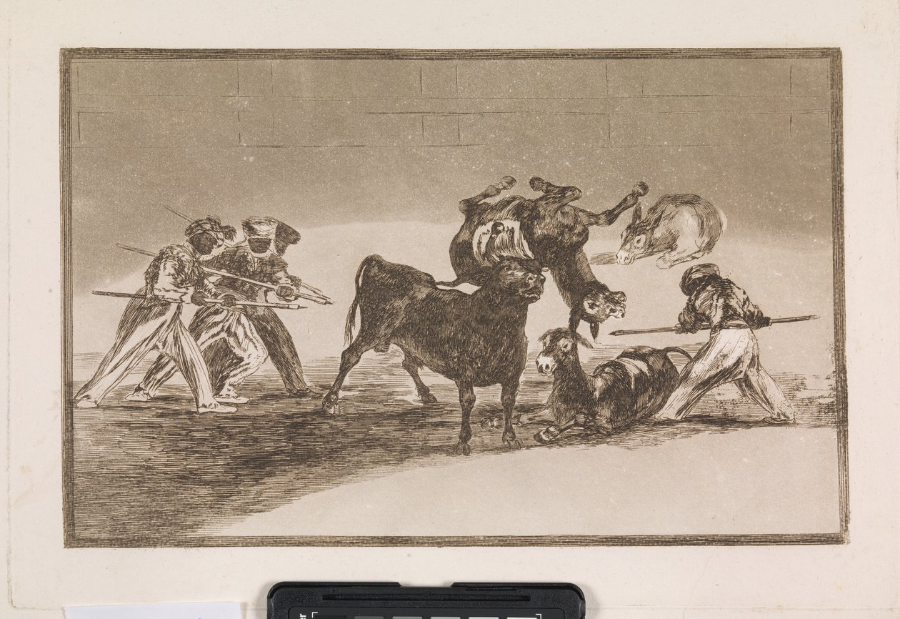 A mórok szamarakat használnak akadályként, hogy megvédjék magukat a bika ellen, amelynek szarvait golyókkal látták el. alkotó: Francisco de Goya