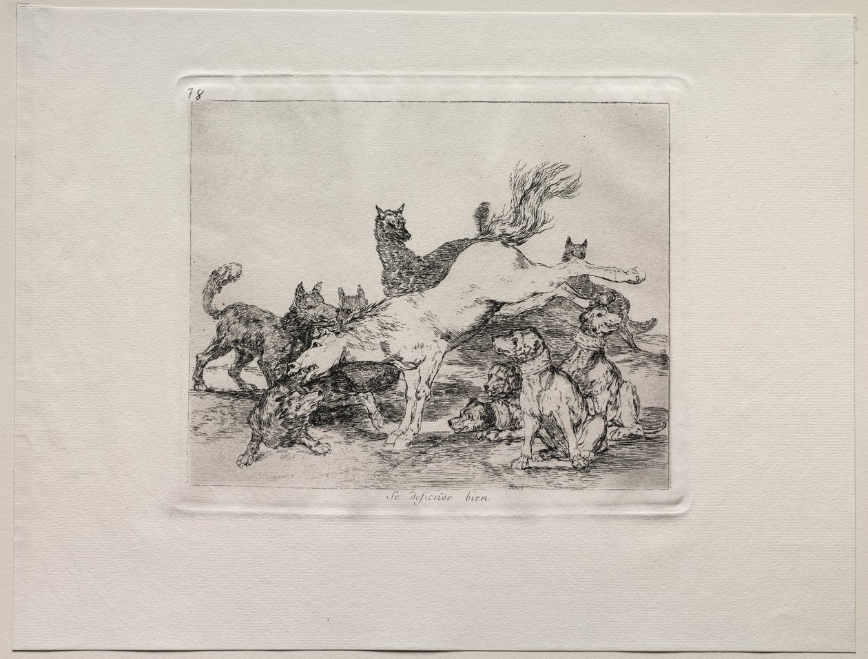 A háború borzalmai: jól védi magát alkotó: Francisco de Goya