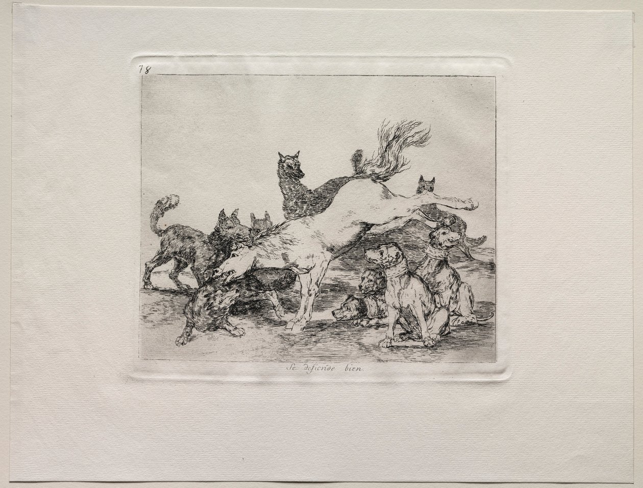 A háború borzalmai: jól védi magát. alkotó: Francisco de Goya