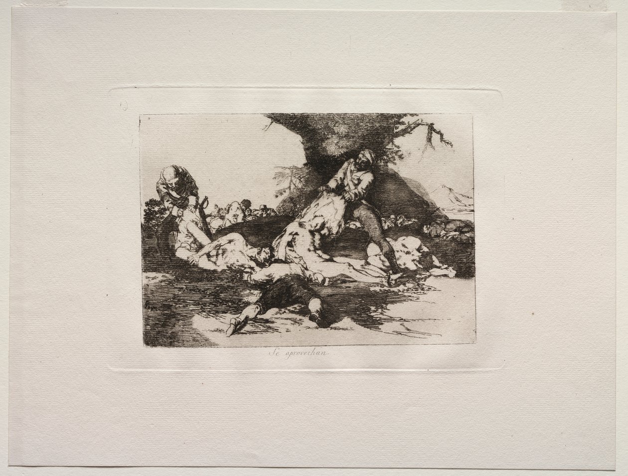 A háború borzalmai: kihasználják őket alkotó: Francisco de Goya
