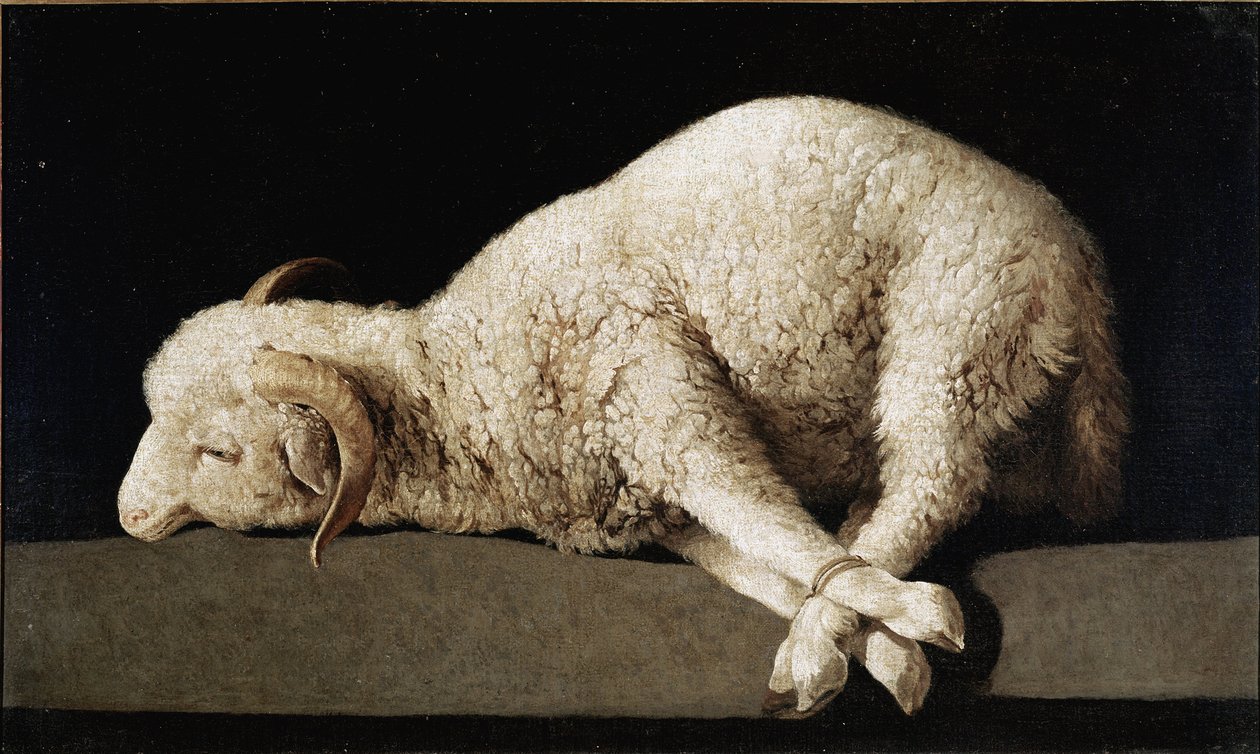 Agnus Dei alkotó: Francisco de Zurbaran