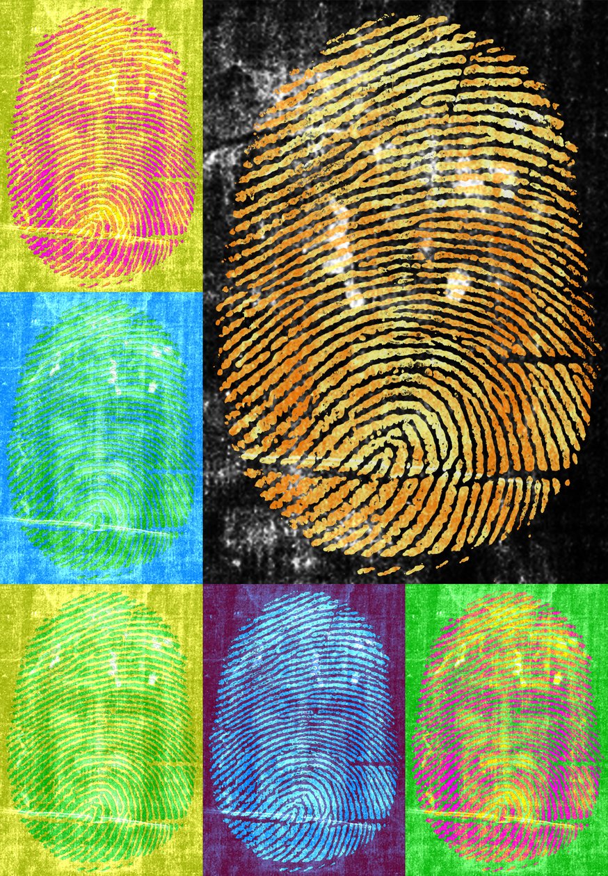 Roots und Thorns, 2014, (digitális) alkotó: Francois Domain