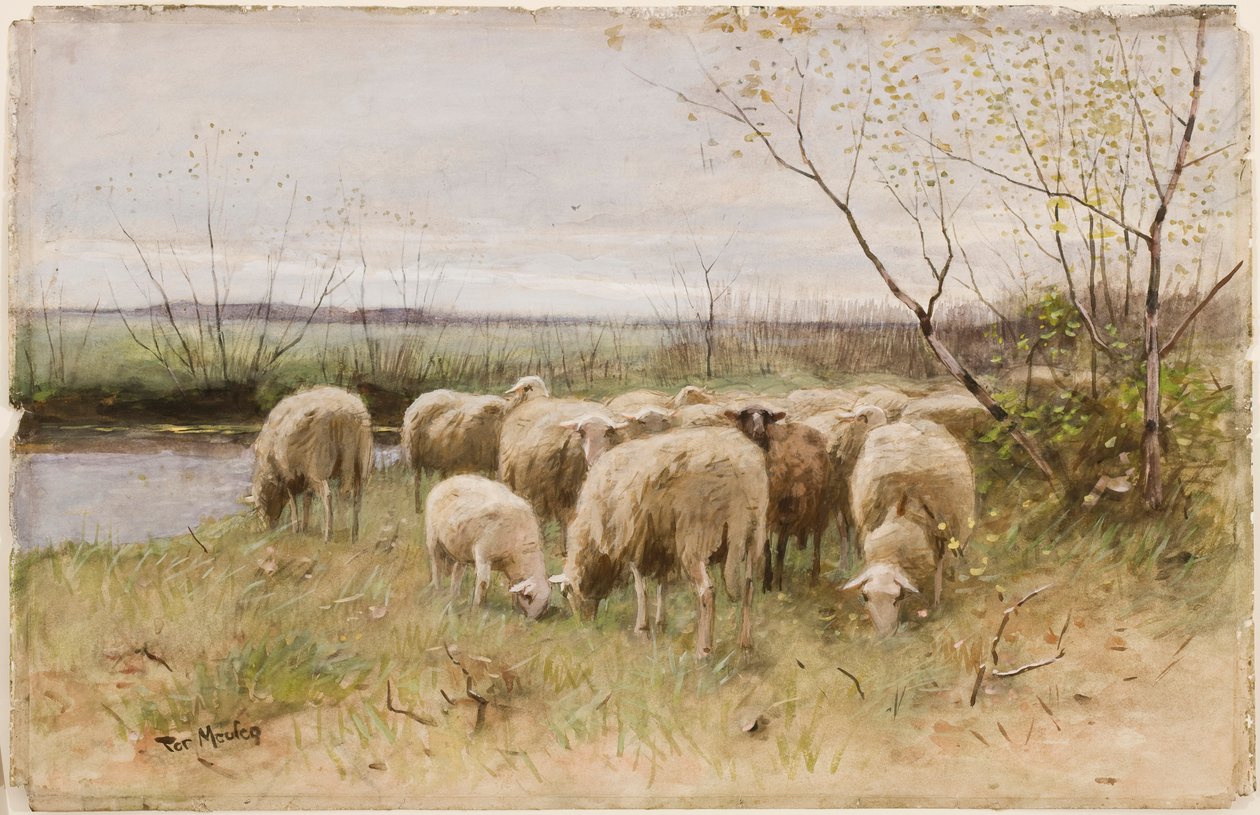 Juh alkotó: Francois Pieter ter Meulen