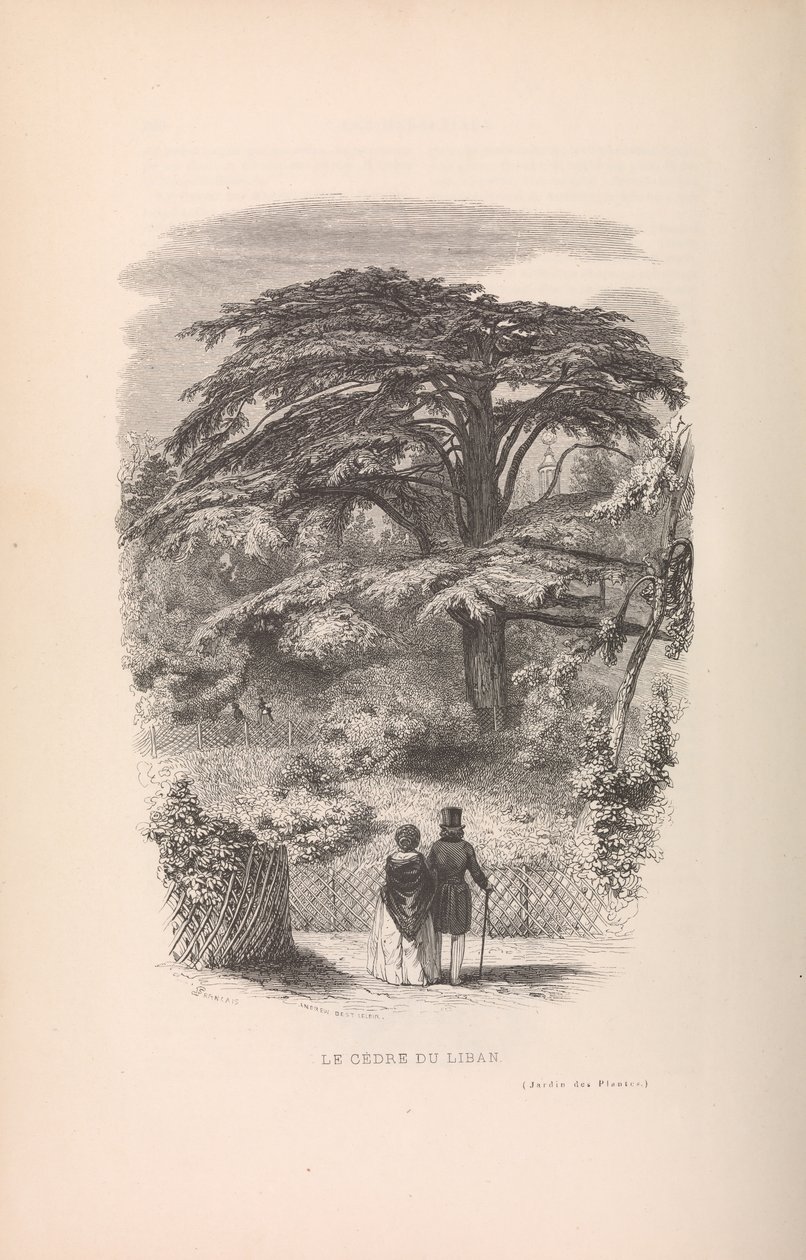 A botanikus kert, Az emlősök leírása és viselkedése, 1842. alkotó: Francois Boitard