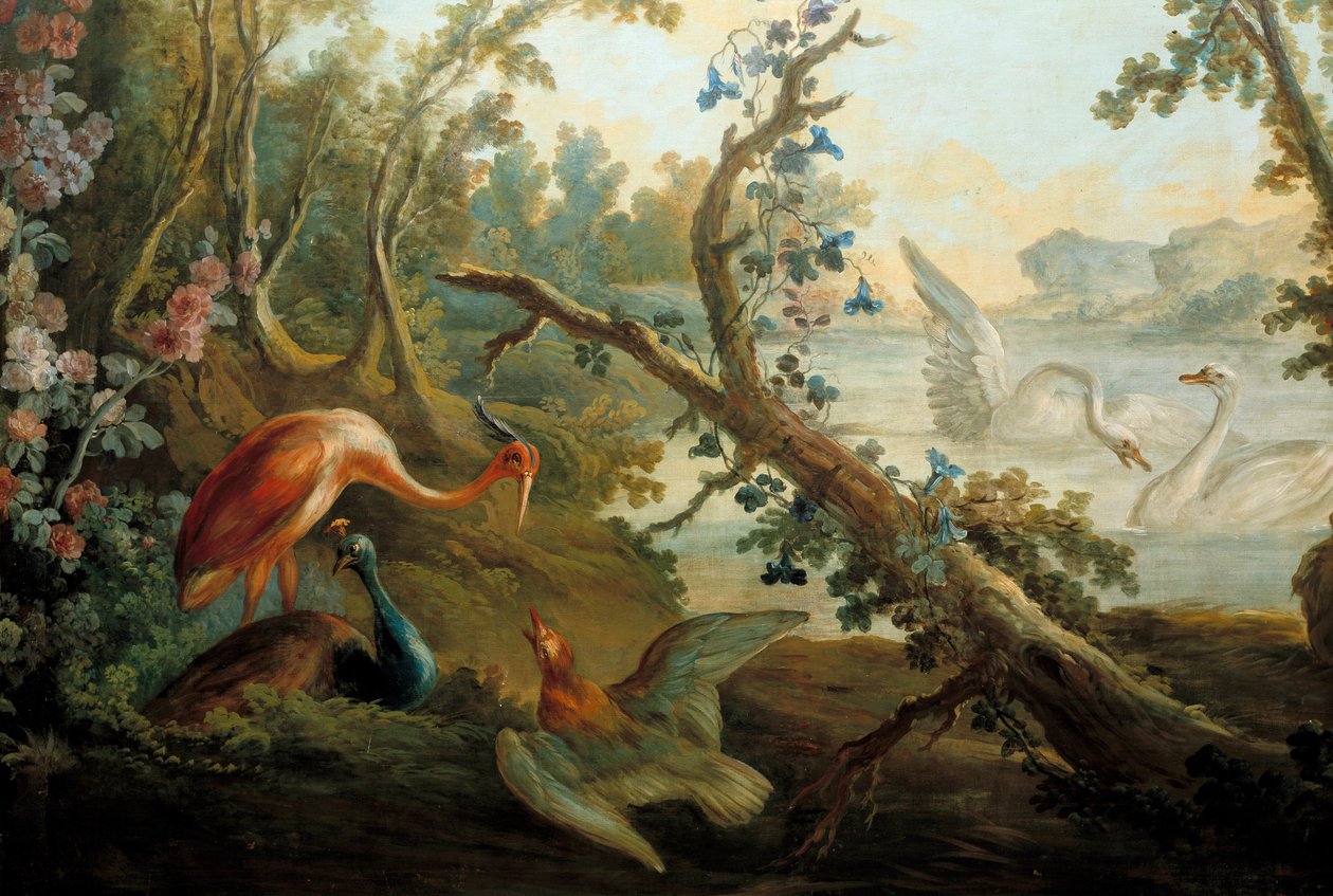 Hattyúk és pávák Francois Boucher festménye (1703-1770) 18. századi Párizs, Musee Carnavalet alkotó: François Boucher