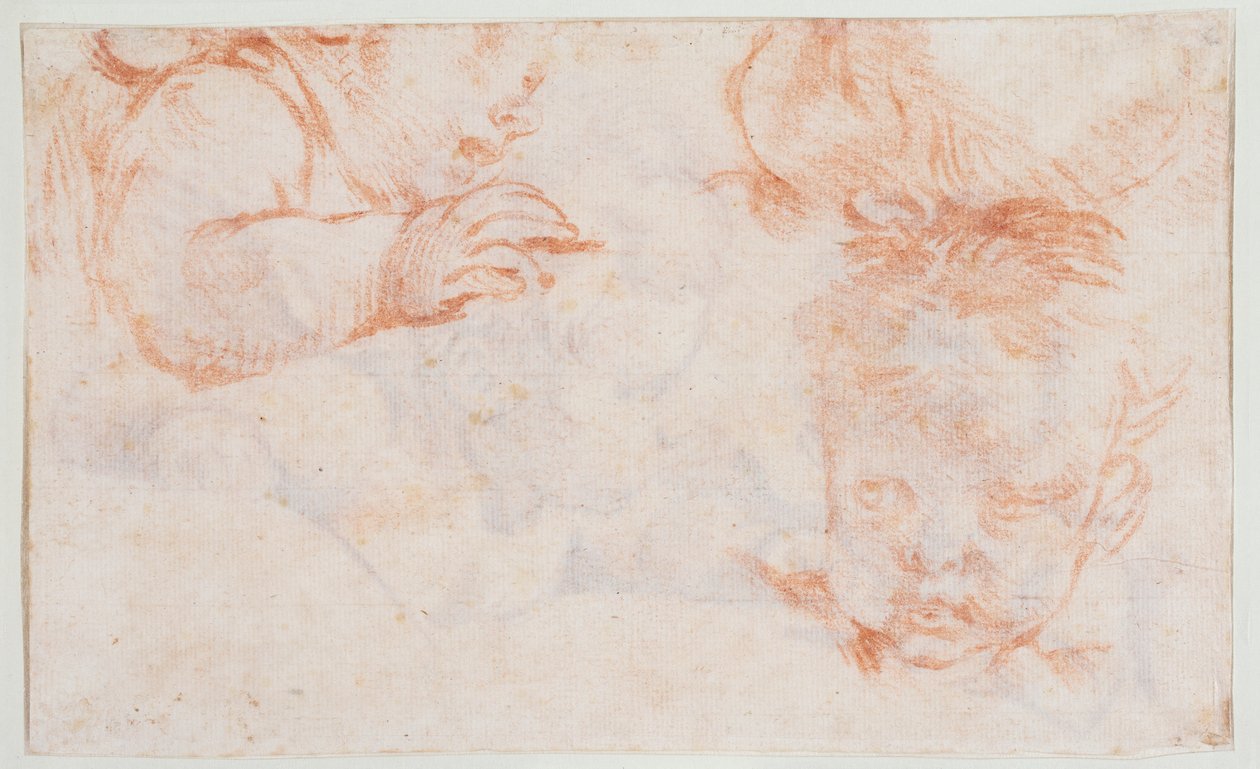 Három fiúfej. Az Amalienborg-i ajtóelemhez készült vázlatok alkotó: François Boucher