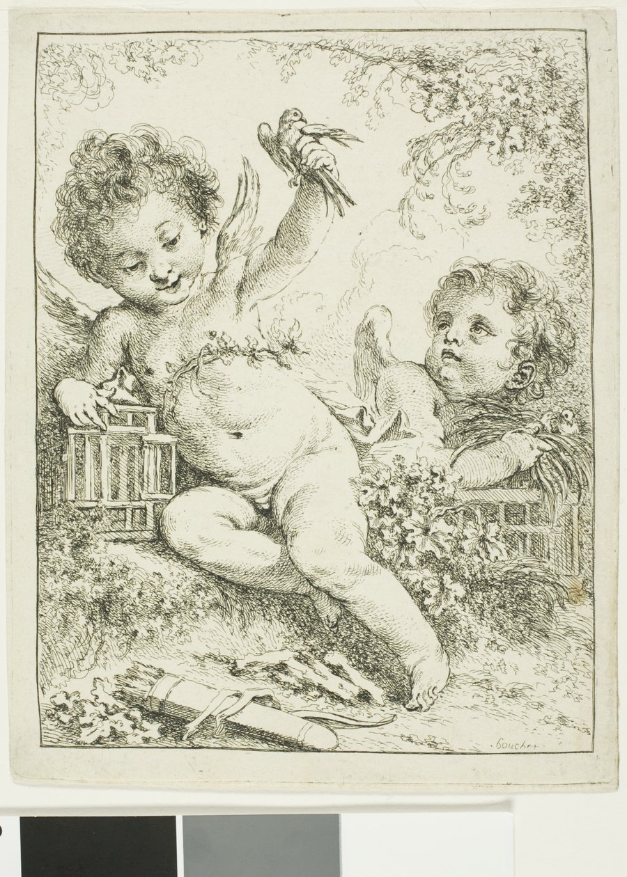 Két putti egy madárral alkotó: François Boucher