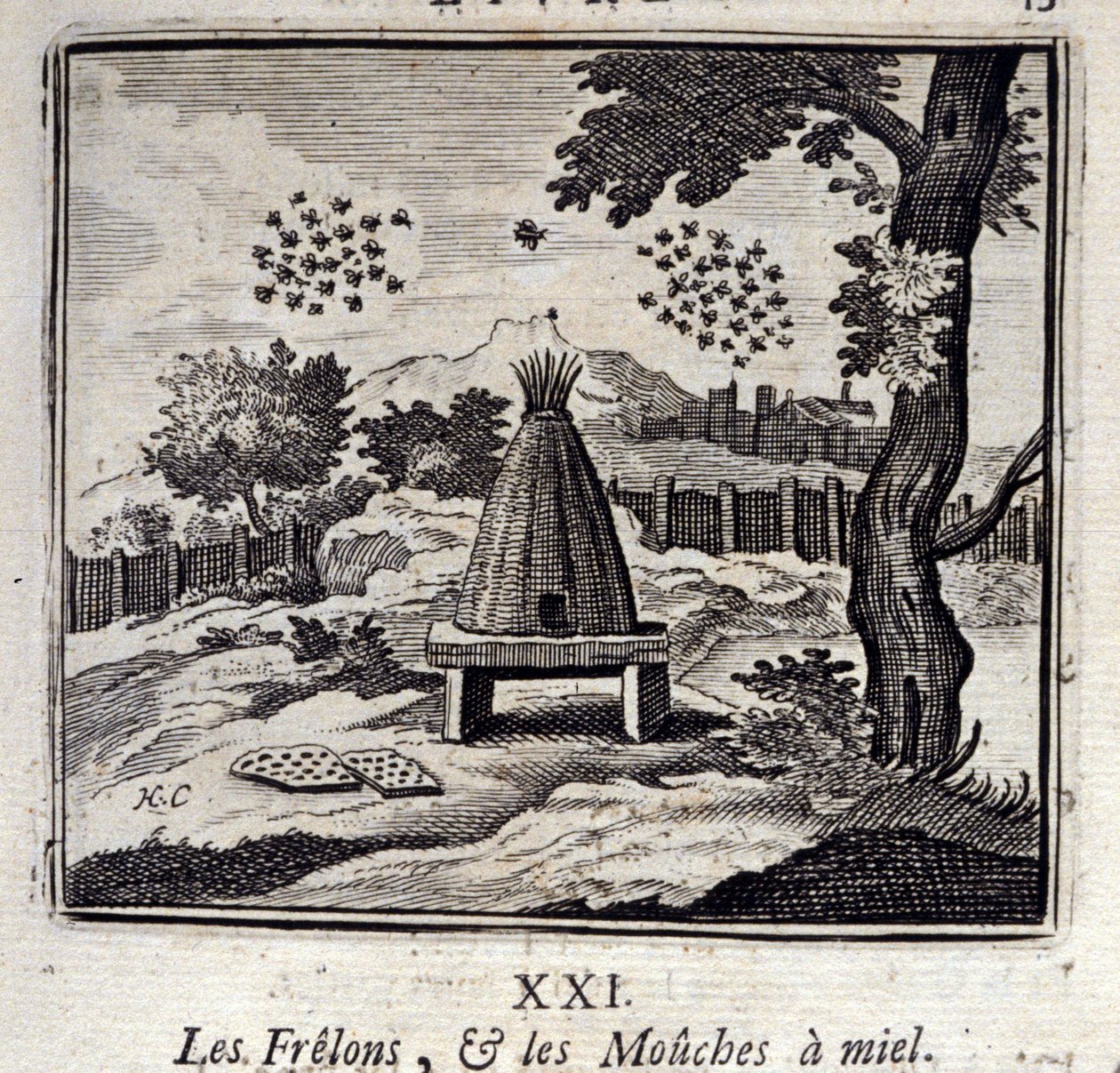 Hornets és méz legyek. Jean de La Fontaine (1621-95) meséi. Illusztráció: Francois Chauveau (1613-1676). 1728-as kiadás. alkotó: Francois Chauveau