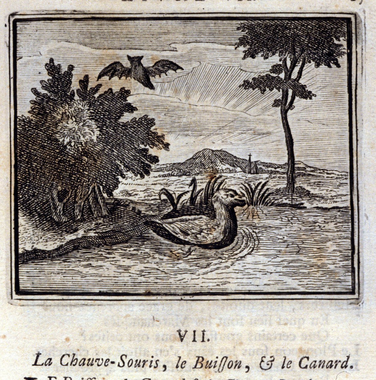 A denevér, a bokor és a kacsa. Jean de La Fontaine (1621-95) meséi. Illusztráció: François Chauveau (1613-1676). 1728-as kiadás. alkotó: Francois Chauveau