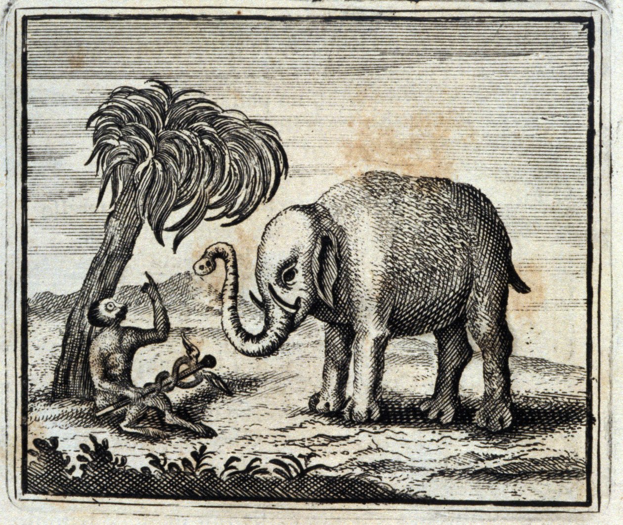 Az elefánt és a Jupiter majom. Jean de La Fontaine (1621-95) meséi. Illusztráció: François Chauveau (1613-1676). 1728-as kiadás. alkotó: Francois Chauveau