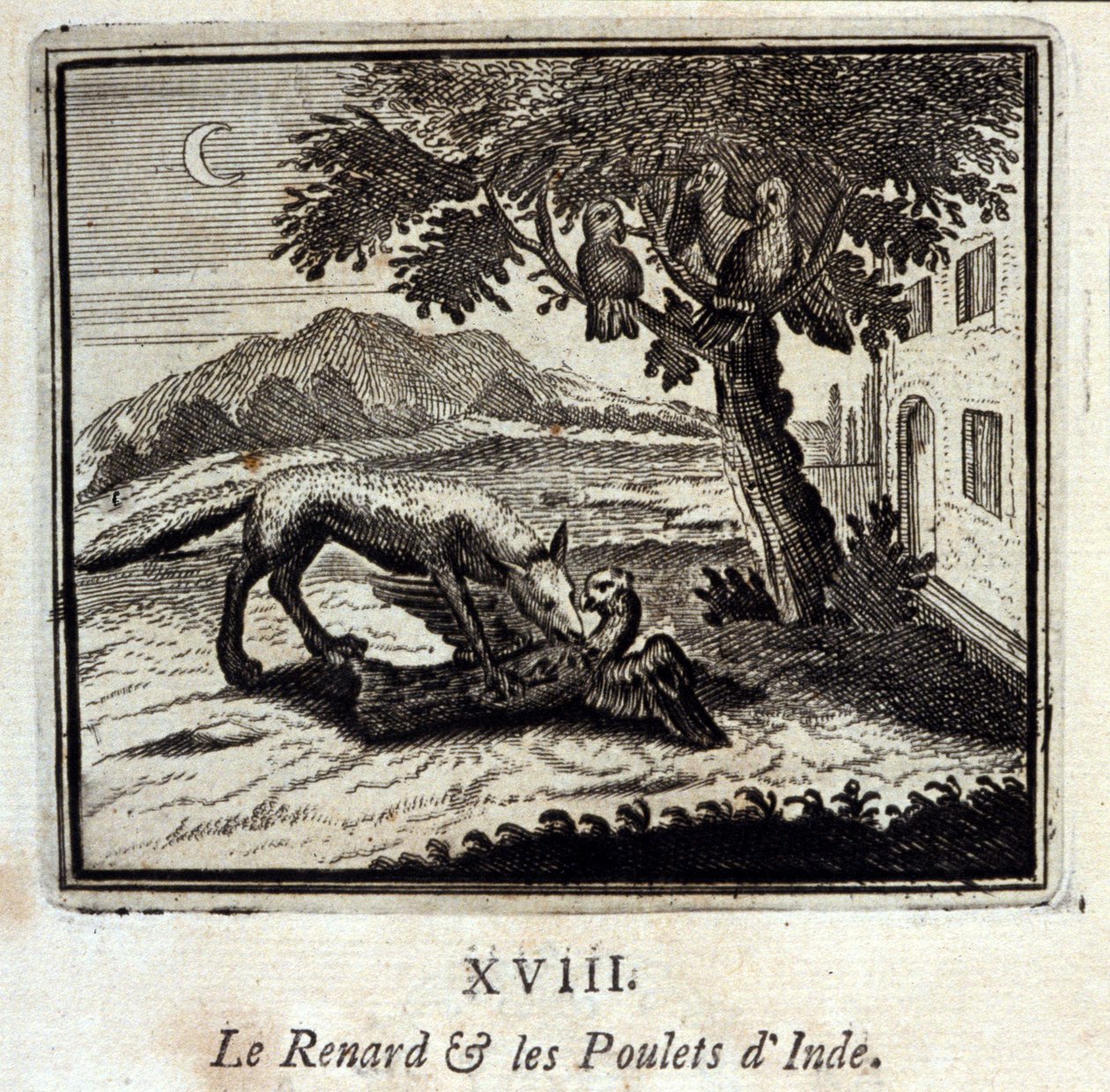 A róka és a csirkék Indiában. Jean de La Fontaine (1621-95) meséi. Illusztráció: François Chauveau (1613-1676). 1728-as kiadás. alkotó: Francois Chauveau